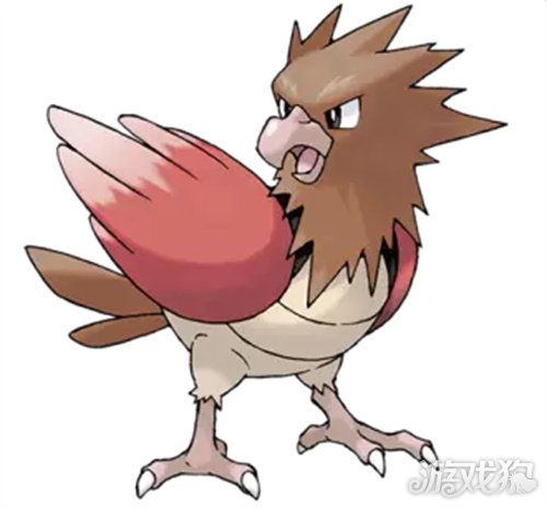 口袋妖怪 VS 之霸气烈雀-口袋妖怪烈雀特性