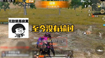 和平精英怎么能变强 吃鸡技巧和思路教程（2）