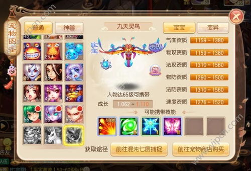 梦幻诛仙手游天灵鸟实力评价与加点策略-梦幻诛仙天音带什么宠物