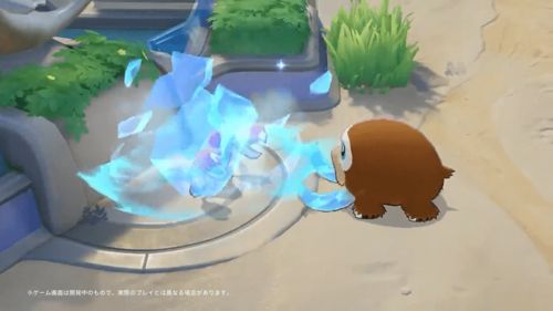 宝可梦大集结象牙猪持有物怎么选-宝可梦大集结象牙猪强度