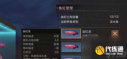 明日之后烤河豚料理效果怎么 垂钓方法有什么（3）