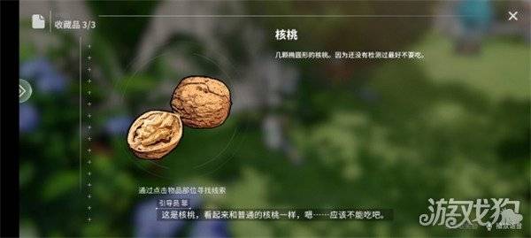 开放空间瓶中小径收藏品在哪里 瓶中小径收藏品位置一览（2）