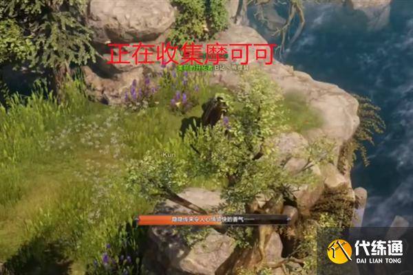 命运方舟鲸鱼岛摩可可种子在哪-鲸鱼岛摩可可种子收集攻略（4）