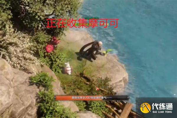 命运方舟鲸鱼岛摩可可种子在哪-鲸鱼岛摩可可种子收集攻略（3）