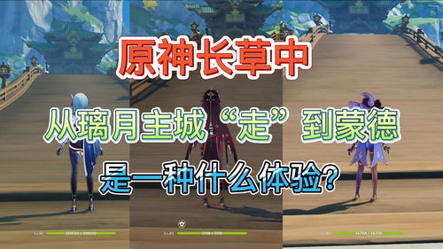 原神长草期十种玩家类型 您属于哪一种类型呢