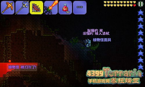 泰拉瑞亚猪鲨公爵掉落物品哪个好-挑选猪鲨公爵掉落物品