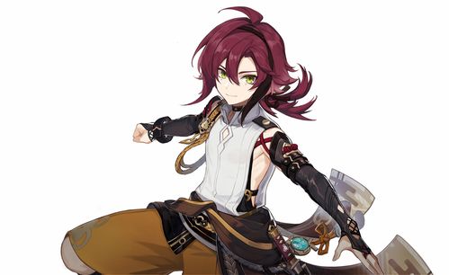 《原神》鹿野院平藏怎么玩