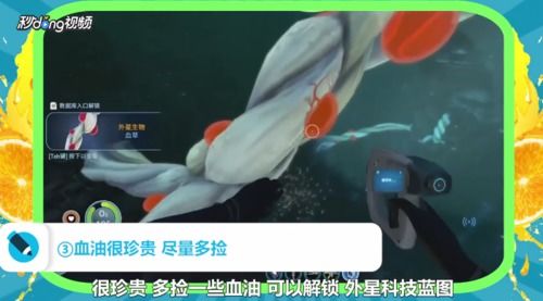 深海迷航血油怎么种-血油区坐标与种植技巧
