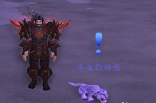 魔兽世界冬泉霜刃豹坐骑怎么获得-冬泉霜刃豹坐骑入手指南