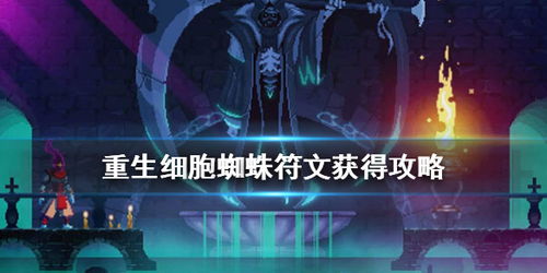 重生细胞蜘蛛符文获取攻略-重生细胞蜘蛛符文在哪儿
