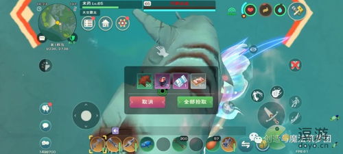 创造与魔法沉眠之海在哪 沉眠之海进入方法
