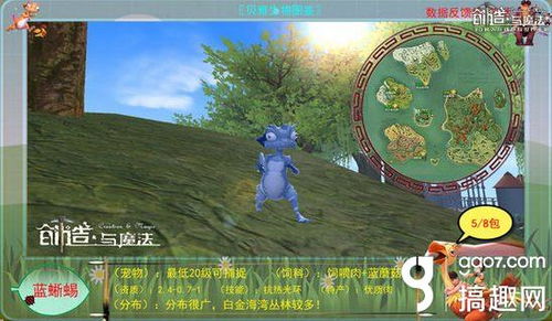 创造与魔法蓝蜥蜴在哪里刷出?