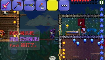 泰拉瑞亚熔岩套装有什么效果-泰拉瑞亚大神回答