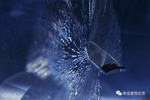 我的水世界求生蓝眼珠在哪-蓝眼珠道具获取位置指南